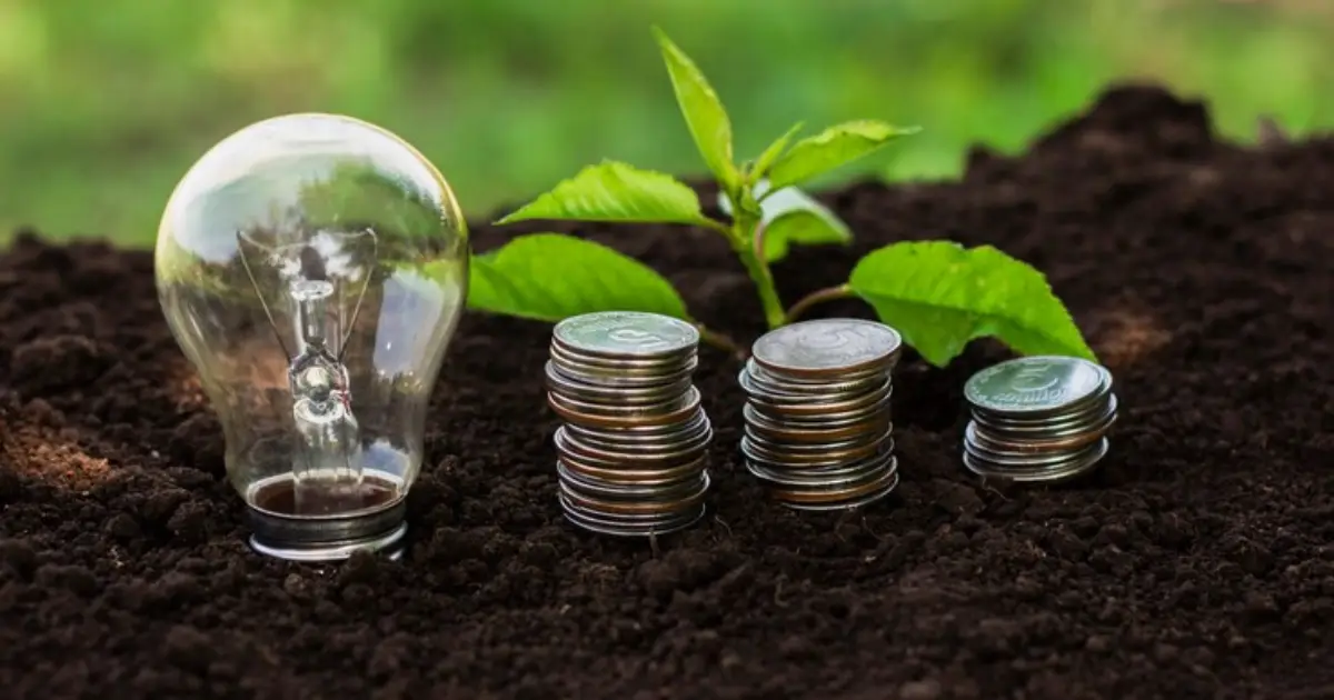Sustentabilidade Financeira Empresarial